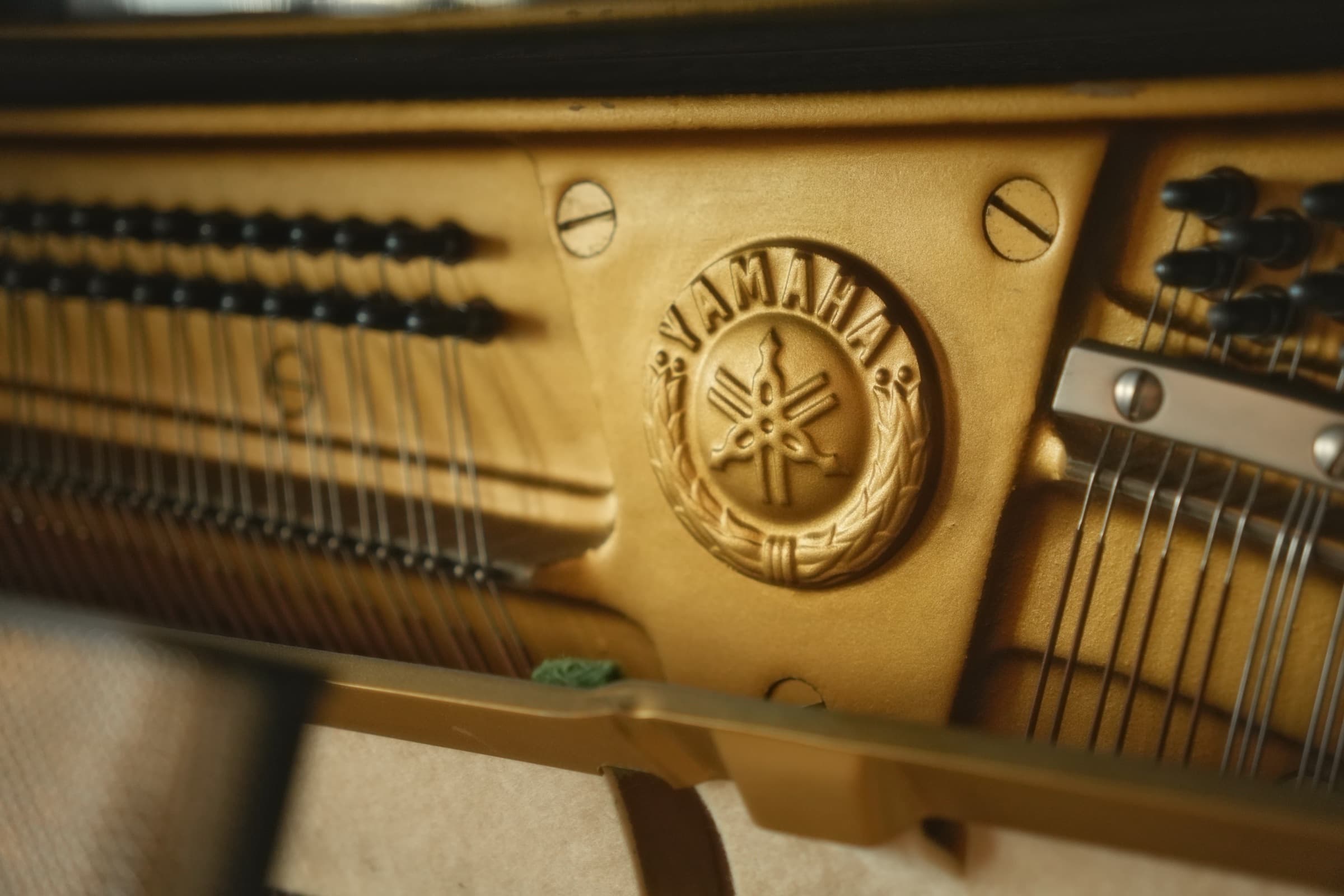 The piano's keys and pedals, close up